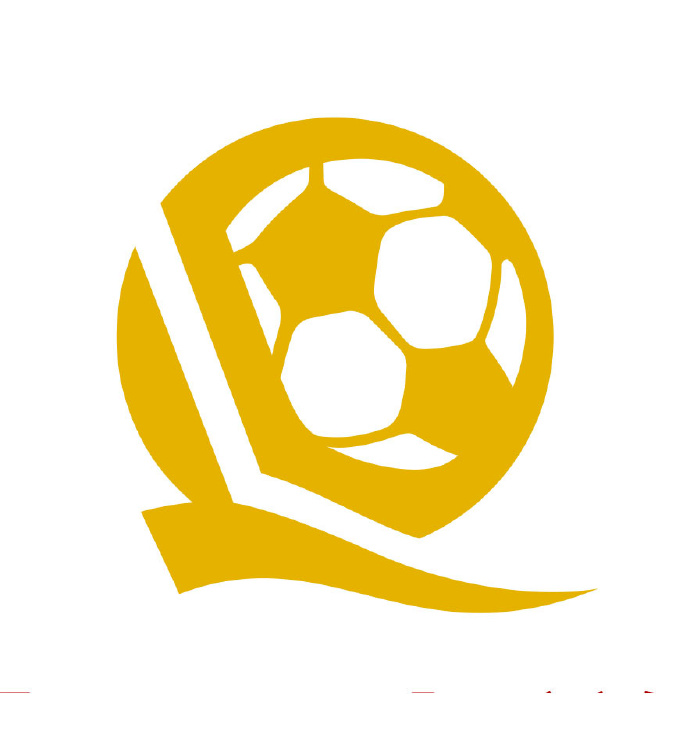 333体育|电竞-官方网站-“462杯”中国队伍介绍：6支职业俱乐部梯队，恒大足校在列